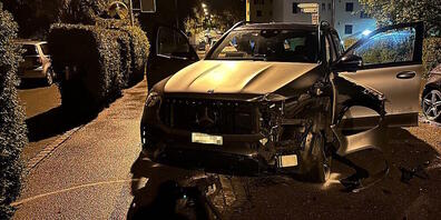 Der Lenker des Fahrzeugs verursachte auf der Flucht vor der Polizei einen Selbstunfall.