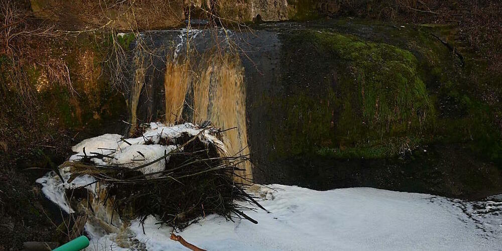 In Bächen bei Lenggenwil SG sind wegen ausgelaufener Gülle mehrere hundert Fische gestorben.
