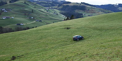 Am Steuer eingeschlafen und auf einer Wiese erwacht: Das ist einem Autofahrer in Hemberg passiert.