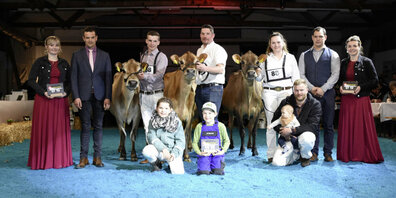 Intermediate Champion (Mitte): Steiner Victorious Cremona-ET von Christian Steiner aus Wernetshausen ZH.