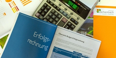 Eschenbach verbucht einen Ertragsüberschuss von gut 1.4 Mio. Franken. Budgetiert war ein leichtes Defizit.