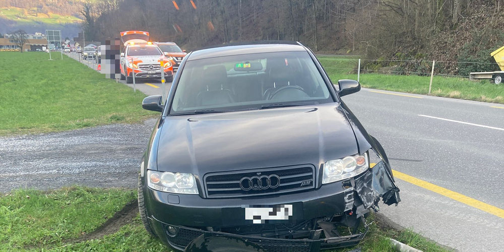 Das Unfallfahrzeug am Strassenrand, der Lenker blieb unverletzt.