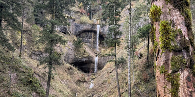 Einer der Podcasts erzählt vom «Mondmilchgubel» in Wald ZH.