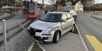 Der Autofahrer konnte nicht mehr selbständig bremsen und musste so den Zaun zur Hilfe nehmen.