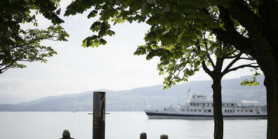 Auf dem Thurgauer Teil des Bodensees ereigneten sich weniger Unfälle. Im Bild das Bodenseeufer in Arbon TG mit einem Schiff im Hintergrund. (Archivbild)