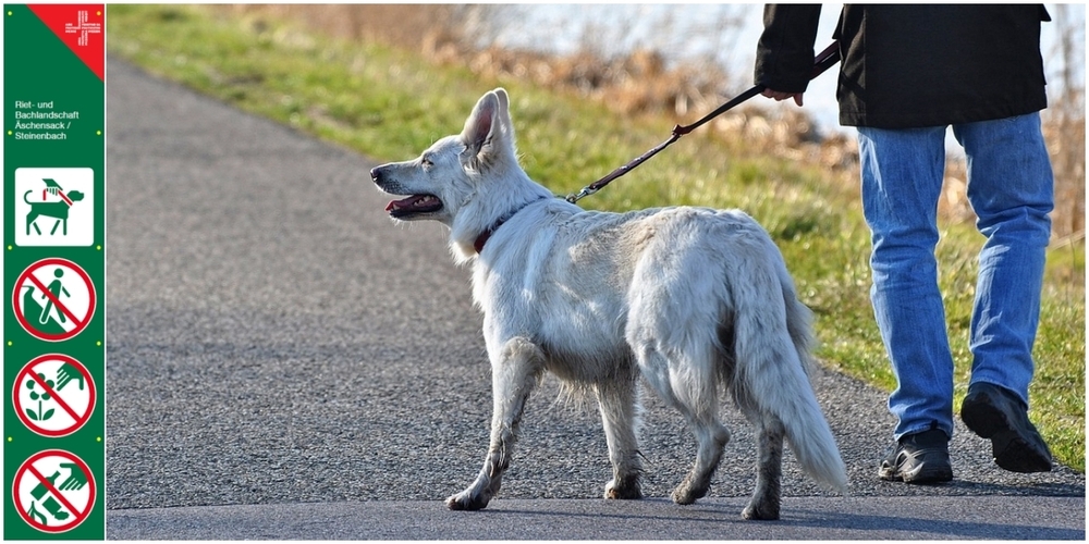 Damit Mensch, Hund und Natur in Einklang leben können, weist die Signalisation (links) u.a. die Hundehaltenden auf den Leinenzwang im kommunalen Schutzgebiet hin.