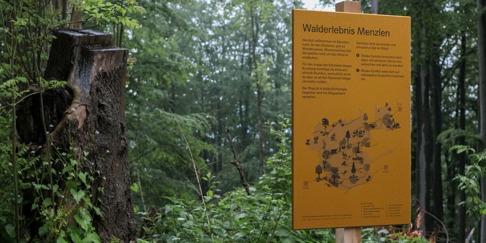 Bild: Studio DAS, St.Gallen 