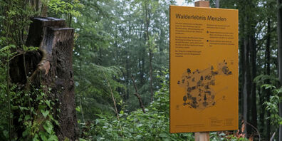 Bild: Studio DAS, St.Gallen 