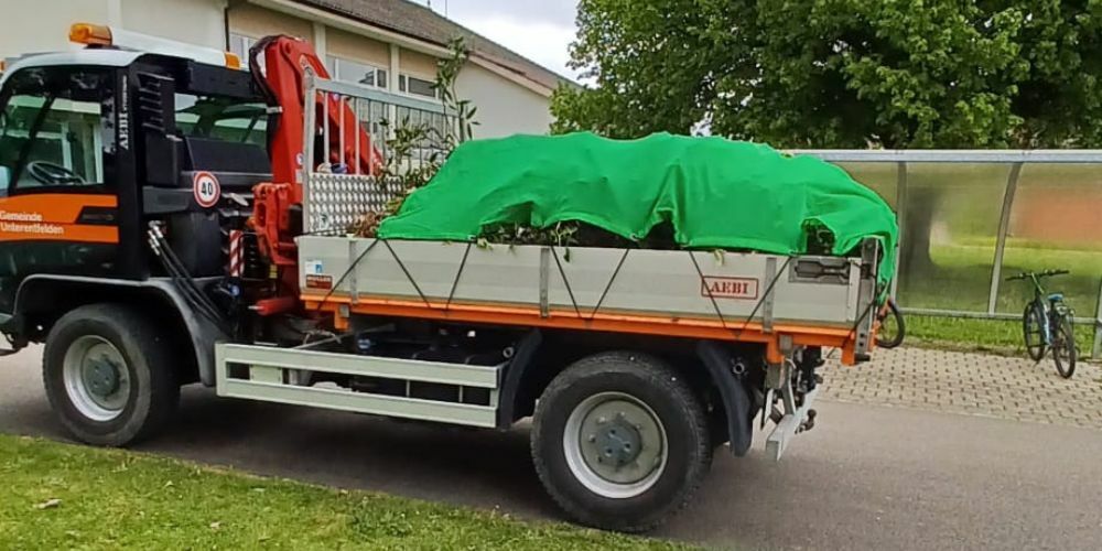 Die Gemeinde Unterentfelden intensiviert Massnahmen gegen invasive Neophyten.