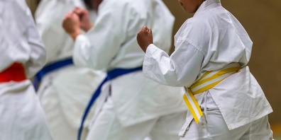 Die AL-Arena wird am 22. und 23. Juni zum Hotspot des Kung Fu. (Symbolbild)