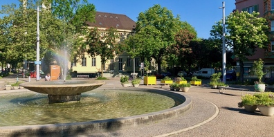 Pflästerung, Brunnen, Pflanzen auf dem Bullingerplatz – alles recht schön. Farbe kommt aber hauptsächlich von den Pflanzkübeln.