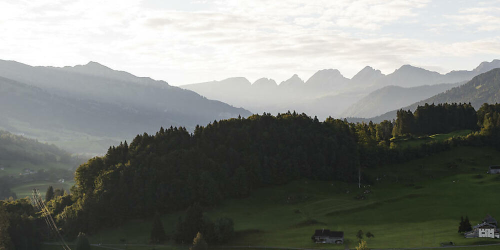 Ein Teil des Waldes oberhalb von Ebnat-Kappel ist neu als Waldreservat ausgeschieden. (Archivbild)