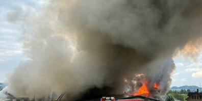 Am 8. Mai brach in einem Schweinestall in Gossau ein Brand aus. Rund 800 Tiere starben. (Archivbild)