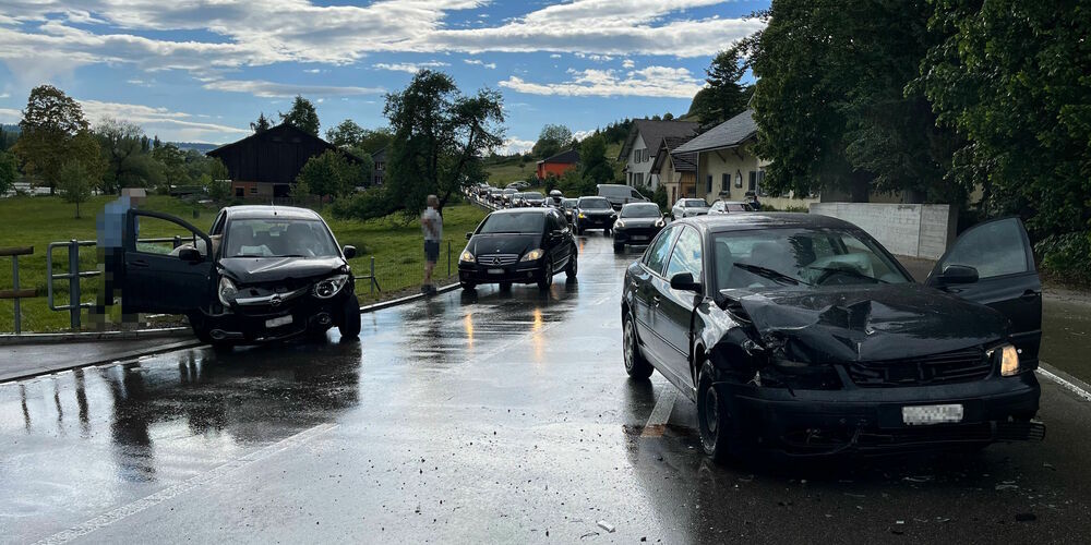 Die Frau  wurde vom Rettungsdienst ins Spital gebracht. 