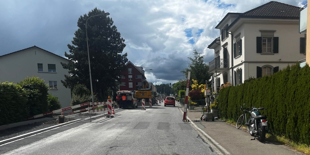 Vor der temporären Lichtsignalanlage geriet die Motorradfahrerin an den rechten Bordstein, verlor die Kontrolle und prallte gegen einen Zaun und das Signal.