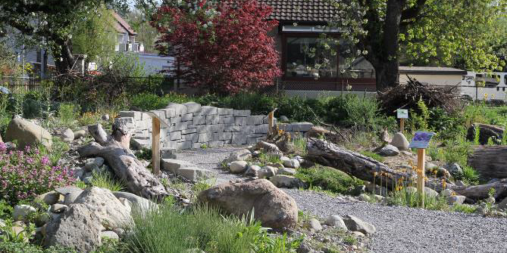 Der Wildbienengarten bei der Kapelle Rikon in Effretikon.