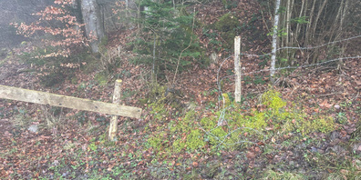 Dieser Weidezaun auf der Etzelwiese wurde auch durchschnitten. 