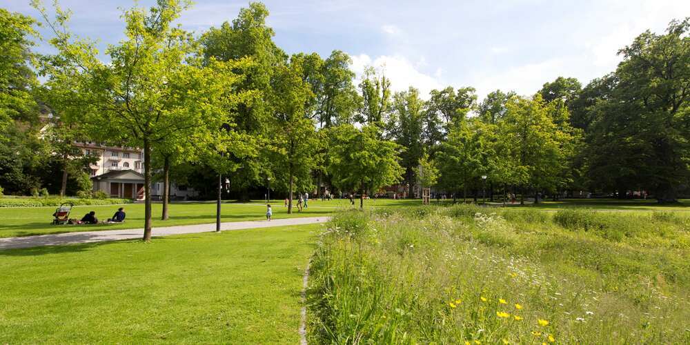 Naturräume wie der Stadtpark tragen viel zur Biodiversität bei.