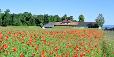 Treffpunkt für die Schützinnen und Schützen ist im Fohrenhölzli Kreuzlingen.