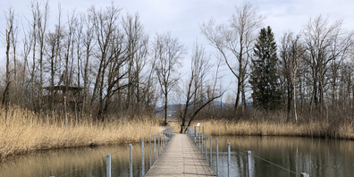 Die Schwyzerinnen und Schwyzer sollen im Kanton ihre Freizeit (im Bild der Holzsteg im Lachner Aahorn) verbringen, Ferien machen und Geld ausgeben. Der Kanton startet dazu ein Impulsprogramm. (Bild: Salome Brenner)