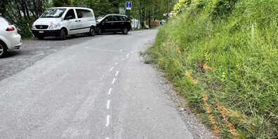 Die Kantonspolizei St.Gallen sucht Zeugen. 