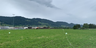 Hier, mitten durchs Grün, würde die neue Ostumfahrung verlaufen