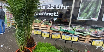 Aktionspreis! Wer hat noch Lust auf eine bald verbotene Pflanze? Auch Coop macht noch mit beim Abverkauf bis zur letzten Minuten.