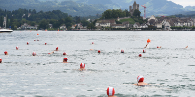 Beim jährlichen Lützelauschwimmen werden 1,5 Kilometer von der Insel Lützelau bis zur Rapperswiler Schlossbadi schwimmend zurückgelegt. (Archivbild)