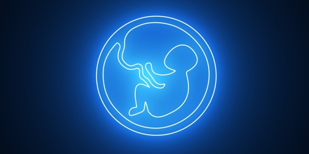 Obwohl Babys im Mutterleib geschützt heranwachsen sollten, sind sie bereits vor der Geburt diversen Umwelteinflüssen ausgesetzt. Wie Nanopartikel aus der Umwelt die Entwicklung des Kindes beeinträchtigen können, untersuchen Empa-Forschende in St. Gallen.