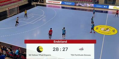 In Winterthur gab es keine Punkte für Forti. 