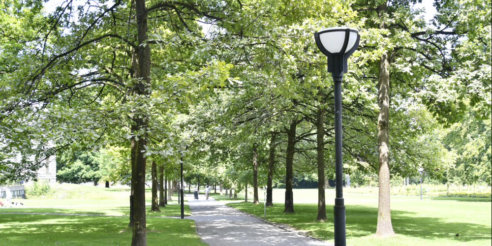 Die Grabenhalle zieht für ein Wochenende in den Stadtpark St.Gallen.