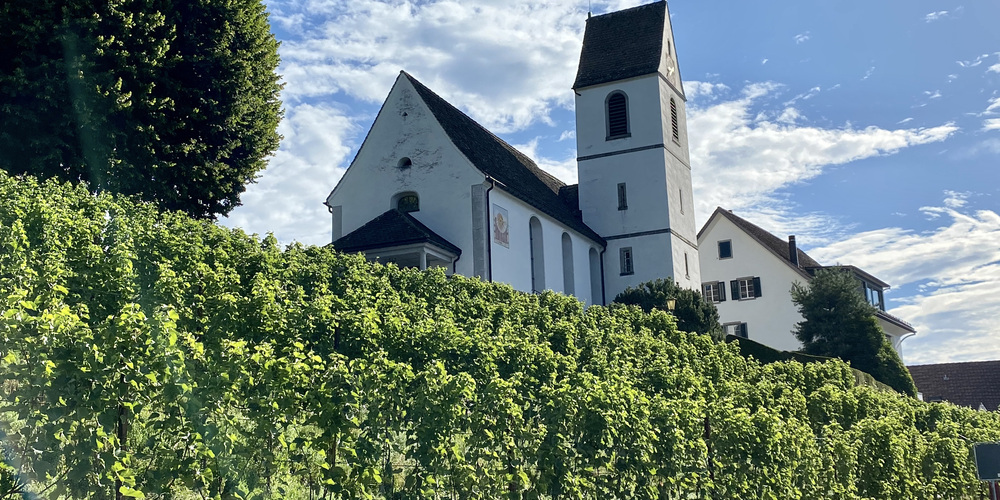 Die Rebberge öffnen ihre Weinkeller. Im Bild: Rebgut Altes Schulaus Bollingen.