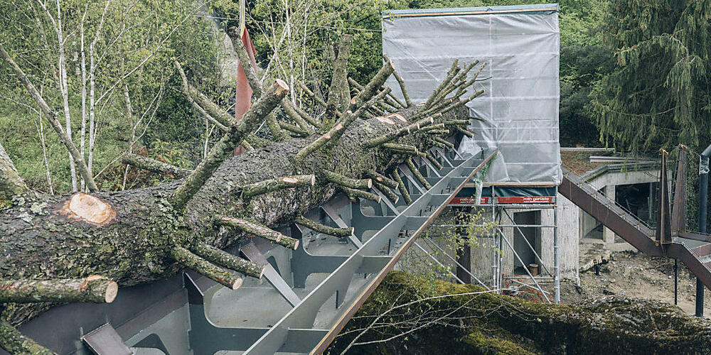 Die Raubkatzen des Zürcher Zoos werden künftig über diesen Steg in neue Anlageteile gelangen können. Der Catwalk führt in 4,5 Metern Höhe über die Köpfe der Besuchenden hinweg.
