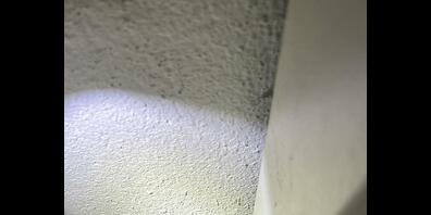 Die Katze namens Cesar war hinter einem schweren Tresorschrank eingeklemmt.