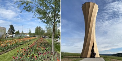 Landesgartenschau in Wangen im Allgäu: Blumen soweit das Auge reicht und der Aussichtsturm von Blumer Lehmann. 