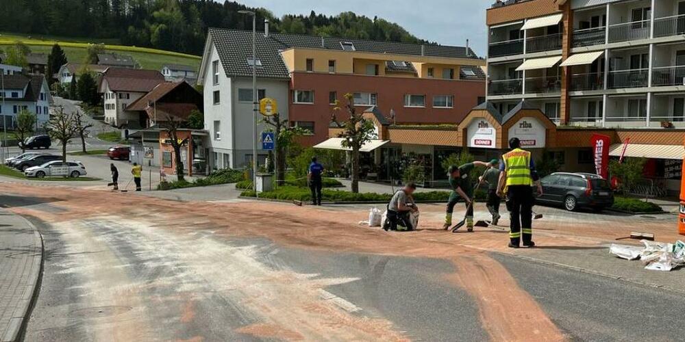 Im Einsatz standen Feuerwehr, Umweltfachleute und Reinigungsfirmen.