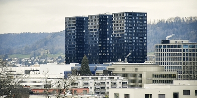 Durch ihre Fassade fallen sie auf – gefallen aber auch nicht allen. 