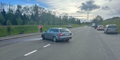 Eine 66-jährige Frau wurde in alkoholisiertem Zustand abgeschossen.