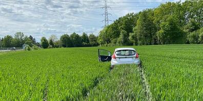 Die Fahrt ins Grüne endete ohne verletzte Personen.