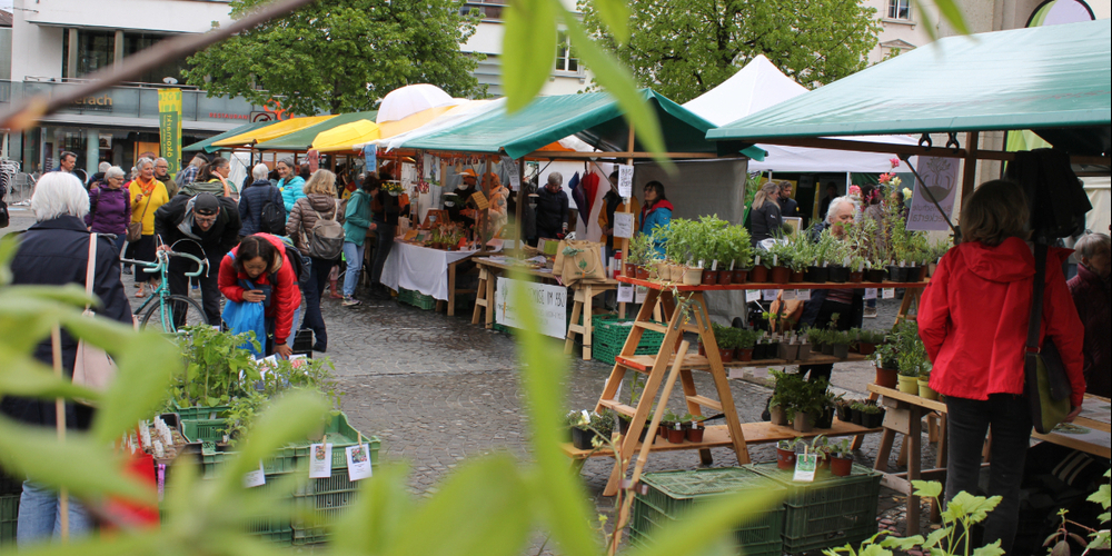 Der Gallusplatz zieht am Ökomarkt sein grünes Gewand über.