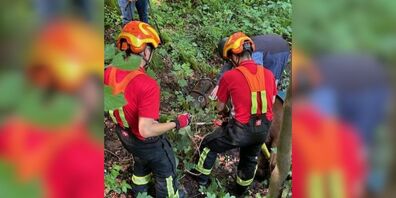 Das Pferd hatte sich vor einer Wasserlache erschreckt.