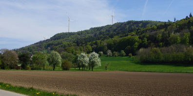 Zur Erarbeitung des Baugesuchs hat die Projektgemeinschaft über die letzten Jahre einen iterativen und detaillierten Planungsprozess vorangetrieben.