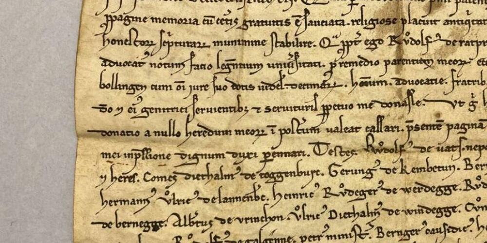 Im Archiv befindet sich unter anderem die erste urkundliche Nennung von Rapperswil-Jona aus dem Jahr 1229.