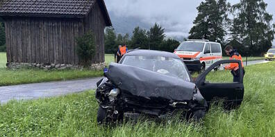 So präsentierte sich das Unfallauto nach der Kollision mit dem Stall.