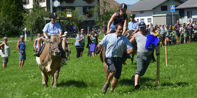 Kuhrennen: Gaudi im Galopp! Das Kuhrennen war am Jubiläumsfest der Landi Linth das Highlight.