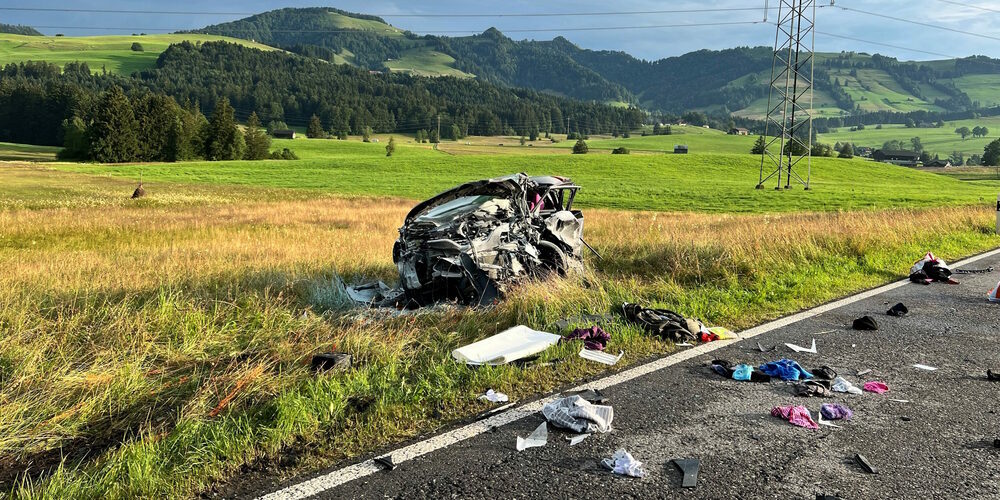 Durch den frontalen Zusammenprall wurde das Auto des Verunglückten ins Wiesland geschleudert.