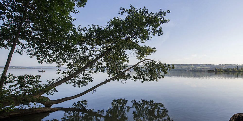 Die Wasserqualität in diversen Zentralschweizer Seen ist laut der Aufsichtskommission Vierwaldstättersee einwandfrei. So auch im Sempachersee. (Archivbild)