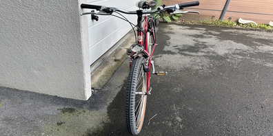 Während der Fahrt auf diesem Velo erlitt ein 72-Jähriger in Benken mutmasslich ein medizinisches Problem und wurde beim Sturz unbestimmt verletzt.