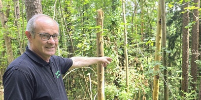 Bruno Cozzio, Kantonsrat aus Henau und Revierförster Uzwil, gibt Auskunft zum Thema "Vogelsberg als Schutzwald".