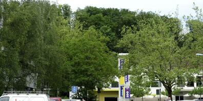 Die Parkplätze beim Zoo Zürich sind an betriebsamen Tagen jeweils schnell besetzt. Ein Anwohner geht nun gegen die Alternative, Plätze beim Dolder-Bad, vor. (Archivbild)